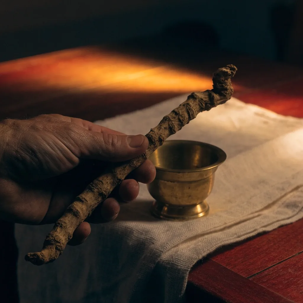 A dried tongkat ali root stick on linen photographed close under warm lamp light
